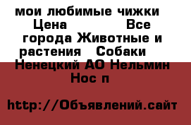 мои любимые чижки › Цена ­ 15 000 - Все города Животные и растения » Собаки   . Ненецкий АО,Нельмин Нос п.